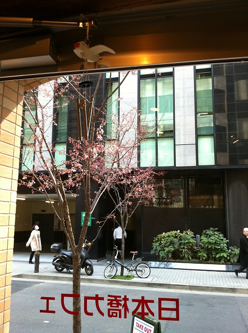 日本橋カフェ　桜